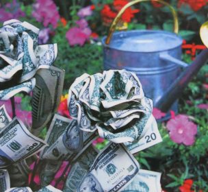 tending_your_money_garden